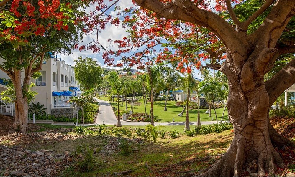 Resort Limetree By Club Wyndham Bolongo