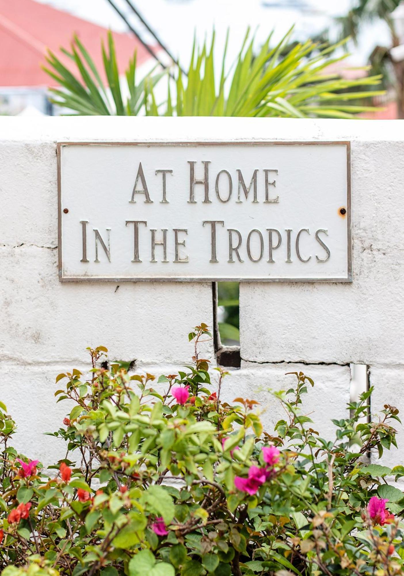 Bed & Breakfast At In The Tropics Charlotte Amalie